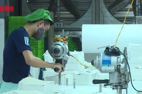 Hơn 61% người đề nghị hưởng trợ cấp thất nghiệp không có bằng cấp, chứng chỉ