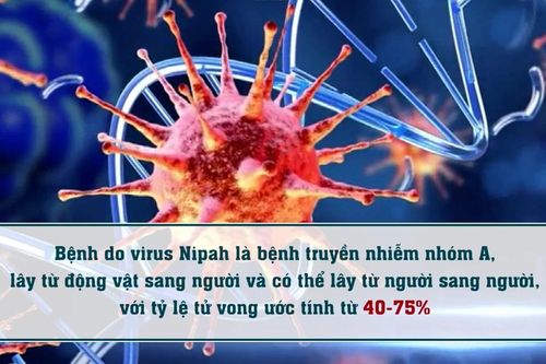 Phòng, chống dịch bệnh do virus Nipah ngay tại các cửa khẩu
