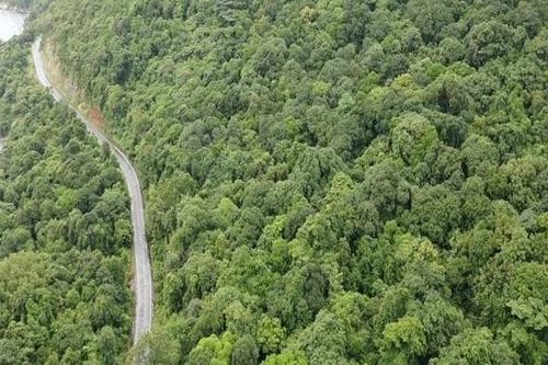 Thanh tra việc chuyển mục đích sử dụng đất rừng làm nhà máy xử lý rác ở Đặc khu Côn Đảo