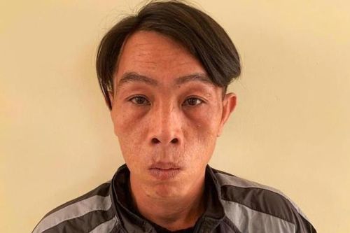 'Ngựa quen đường cũ'
