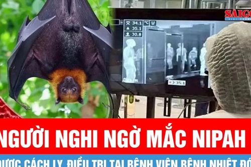 TPHCM: Người nghi ngờ mắc Nipah sẽ được cách ly, điều trị tại Bệnh viện Bệnh Nhiệt đới