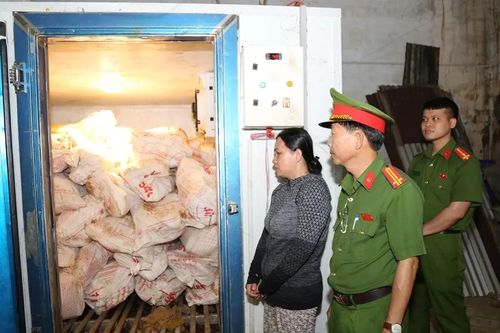 Đồng Nai: Bắt người phụ nữ tuồn 12 tấn heo bệnh ra thị trường