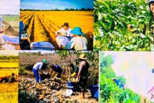 Năm 2026, ngành Nông nghiệp và Môi trường đặt mục tiêu tăng trưởng 3,7%