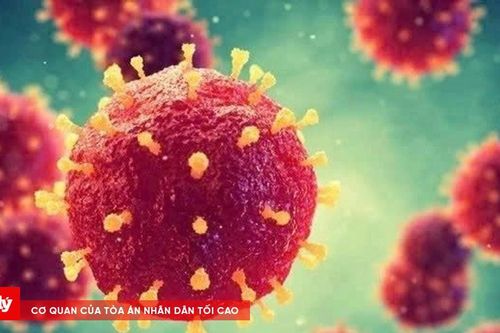 Đà Nẵng chủ động siết chặt phòng, chống dịch bệnh do vi rút Nipah