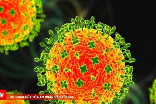 Bộ Y tế yêu cầu siết chặt phòng dịch do virus Nipah