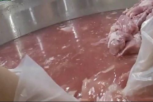 Hàng nghìn học sinh TPHCM dừng ăn bán trú sau phản ánh thực phẩm bẩn vào trường