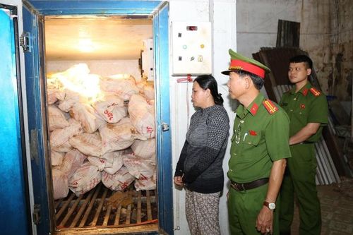 Phê chuẩn khởi tố, bắt tạm giam người phụ nữ bán 12 tấn thịt heo bị bệnh dịch tả