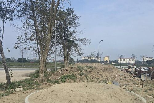 Chính quyền phường Vinh Lộc xác minh: ngôi mộ tổ không phải 'mọc lên sau 1 đêm'