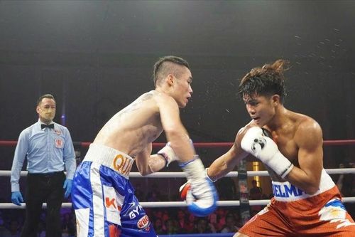 Việt Nam lần đầu đăng cai Hội nghị thường niên Liên đoàn Quyền anh quốc tế