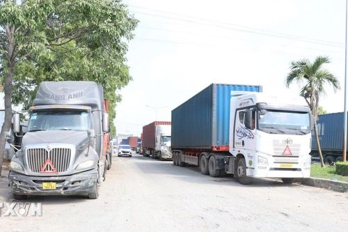 Tây Ninh: Xe container đậu tràn lan trên đường vào Cửa khẩu quốc tế Bình Hiệp