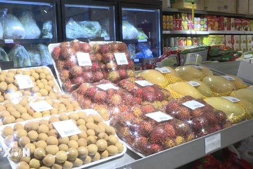 Hàng Việt Nam sẵn sàng cho cao điểm mua sắm Tết tại Pháp