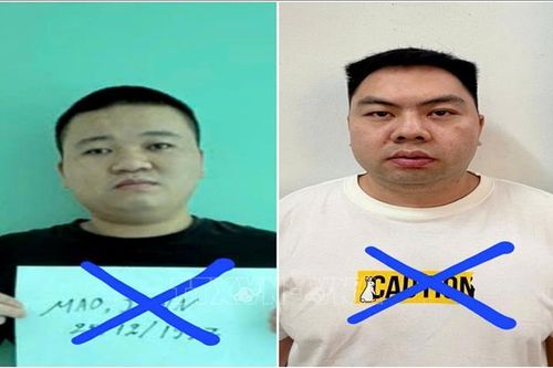 Công an tỉnh An Giang bàn giao 2 đối tượng truy nã người Trung Quốc