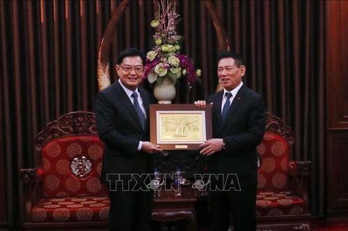 Phó Thủ tướng Hồ Đức Phớc tiếp nguyên Phó Thủ tướng Singapore
