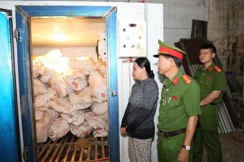 Bắt người phụ nữ mua 12 tấn lợn chết vì dịch rồi bán ra thị trường