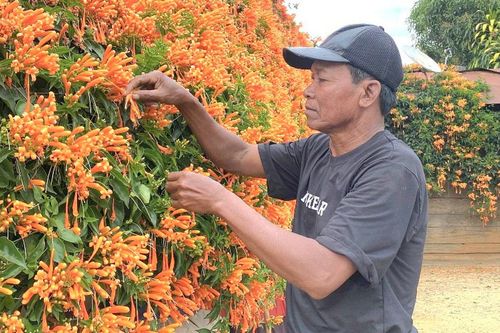 Người đàn ông 42 năm gìn giữ 'ngôi nhà hoa xác pháo'