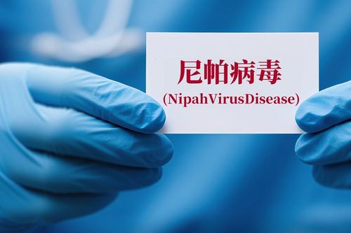 Hy vọng mới ngăn chặn virus Nipah từ loại thuốc điều trị Covid-19