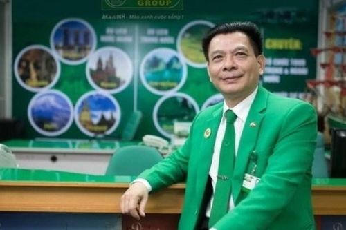 Doanh nhân Hồ Huy đối diện nguy cơ bị tạm hoãn xuất cảnh do Tập đoàn Mai Linh nợ thuế