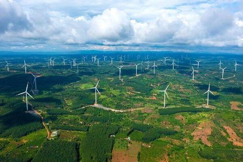 Danh tính nhà thầu trúng dự án điện khí NLG Cà Ná 57.000 tỷ