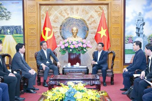 Thanh Hóa tăng cường hợp tác đầu tư với Tập đoàn Sumitomo (Nhật Bản)