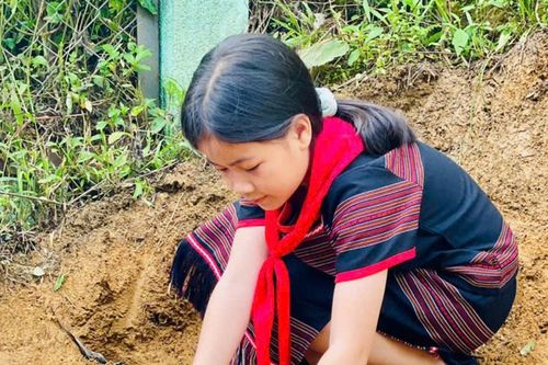 Sống xanh từ trường học