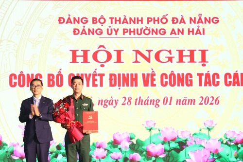 Đảng bộ phường An Hải phấn đấu thực hiện hiệu quả mô hình 'đảng bộ cơ sở bốn tốt'