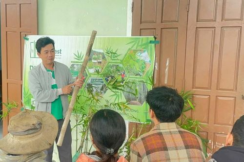 Liên kết sản xuất để tạo sinh kế bền vững ở vùng cao