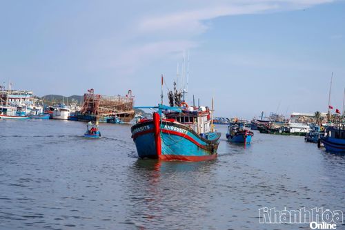Góp ý dự thảo Nghị định về một số chính sách phát triển thủy sản