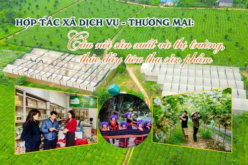 Cầu nối sản xuất và thị trường, thúc đẩy tiêu thụ sản phẩm