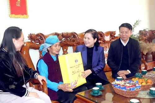 Chủ tịch HĐND tỉnh Giàng Páo Mỷ thăm, chúc tết Điện lực khu vực Đoàn Kết và gia đình chính sách