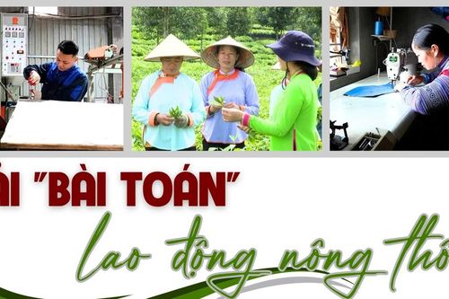 Giải 'bài toán' lao động nông thôn
