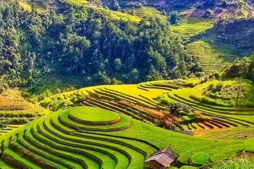 Hơn 951.000 lượt khách du lịch đến Lào Cai trong tháng đầu năm