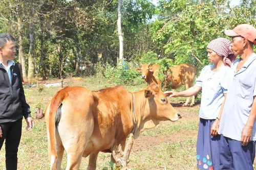 Tăng cường quản lý, bảo vệ chủ quyền biên giới đất liền