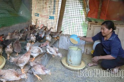 Hiệu quả chính sách dân tộc ở xã Kim Bôi
