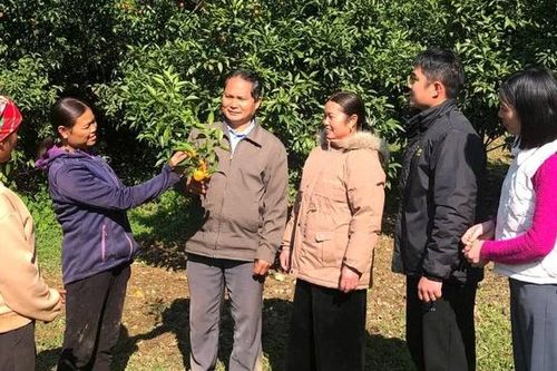 Bí thư chi bộ gần dân, sát việc