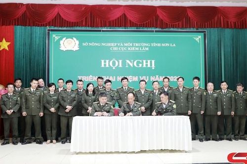 Triển khai nhiệm vụ công tác quản lý, bảo vệ rừng năm 2026