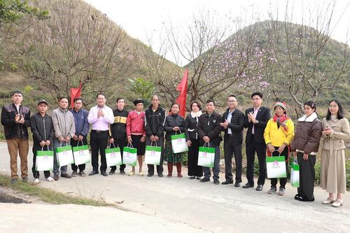 Ngân hàng Chính sách xã hội tỉnh tặng quà Tết cho hộ nghèo, gia đình chính sách
