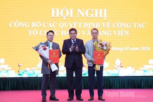 Hội nghị công bố các quyết định về công tác tổ chức Đảng, đảng viên