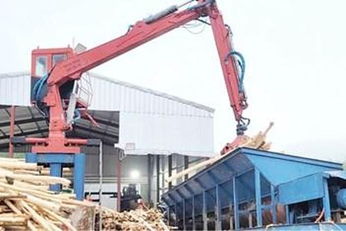 Phát huy tiềm năng vùng nguyên liệu gỗ rừng trồng