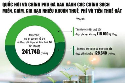 Chính sách ưu đãi thuế, hỗ trợ kinh tế tư nhân phát triển