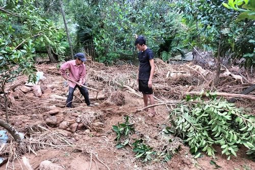 Cùng nông dân khôi phục sản xuất sau mưa lũ