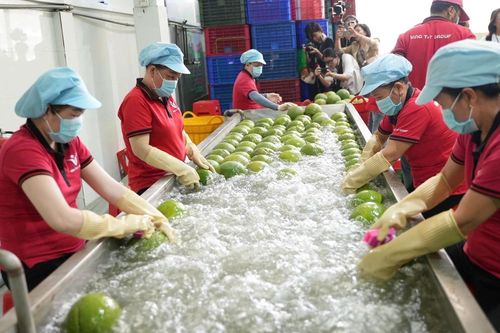 Đặt doanh nghiệp vào trung tâm tiến trình đổi mới để nâng cao năng lực cạnh tranh