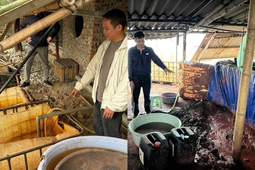 Triệt phá hai xưởng xả trộm gần 7 tấn chất thải ra sông Đuống