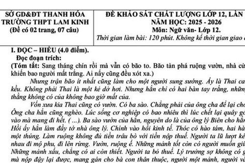 Đề khảo sát môn Ngữ văn 12: Hoàn thiện bản thân từ những thiếu sót