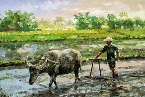 Cha tôi gánh cả mùa đông