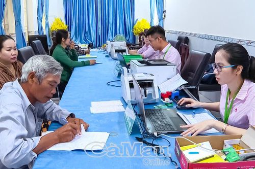 Ngân hàng Chính sách xã hội Bạc Liêu giải ngân vốn hỗ trợ việc làm