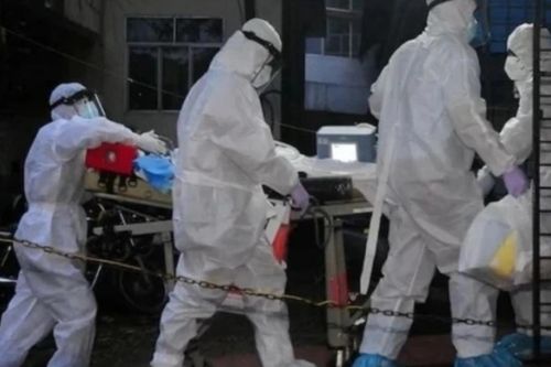 Bộ Y tế yêu cầu tăng cường giám sát, phòng chống dịch bệnh do virus Nipah