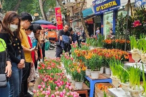 Lễ hội hoa - cây cảnh Thủ đô sẽ diễn ra tại Công viên Thiên văn học