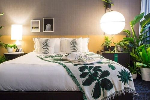 Loại cây trồng nhả khí ô xy ban đêm, đặt trong phòng ngủ tốt cho phong thủy, giúp luôn có một giấc ngủ ngon