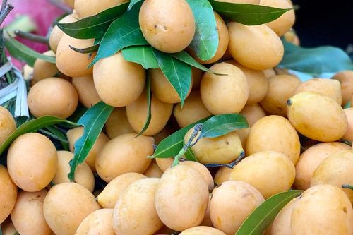 Chợ Việt bán một loại quả vàng ươm, thơm nức được ví như thuốc bổ khiến chị em thi nhau 'săn đón'