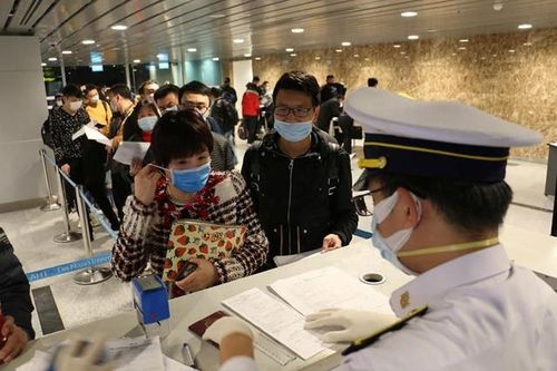 Đà Nẵng chủ động giám sát, phòng chống bệnh do virus Nipah